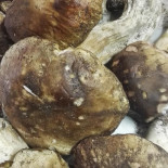 Osteria Dell'accademia food