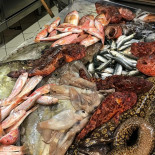 Al Refettorio Comida