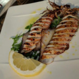 Nautilus Nourriture