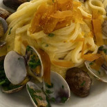 Nautilus Essen