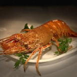Di Pesce Il Pavone Boisson