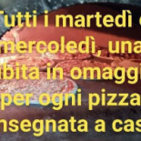 Pizzeria Gastronomia Friggitoria Maia Logo