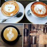 Rivendita Torrefazione Caffé Mio Alghero Gourou