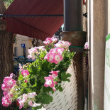 Tipico Street Food Alghero Extérieur