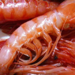 Tipico Street Food Alghero Nourriture