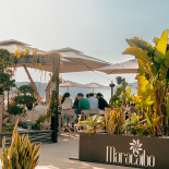Maracaibo Cocktail Exterior