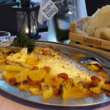 Movida Cibo