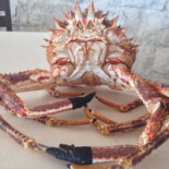 La Lepanto Nourriture
