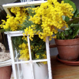 Café Sant'anna Bebida