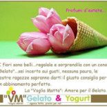 Gelateria La Voglia Matta Carte