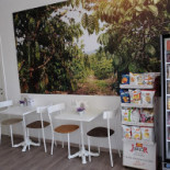 Blend À l'intérieur