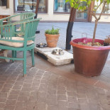 Caffè Dè Pazzi Exterior