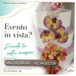 Delice Drink