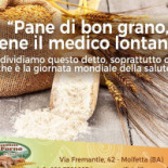 Il Forno Carta