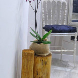 Flower's Food&rooms Bebida