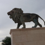 New Lions Ricevimenti Molfetta drink