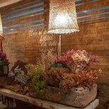 Buen Vivir Trattoria Sul Mare Dentro