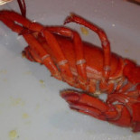 La Pineta Ricevimenti Comida