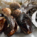 Chalet Del Sole Molfetta food