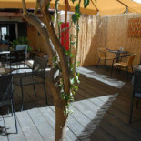 Metropolis Caffe outside