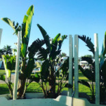 Le Cinque Vele Beach Club E Boisson
