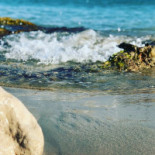 Le Cinque Vele Beach Club E Extérieur