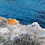 Le Cinque Vele Beach Club E Außen