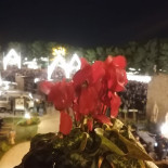 Il Giullare Conversano Nourriture