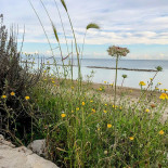 Villa Matinelle Trani Strada Adriatica Extérieur