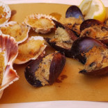 Marittimo Dalla Betta Food