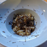 Colibri' Comida