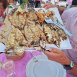 Marittimo Dalla Betta Essen