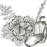 Medioevo Assisi Boisson