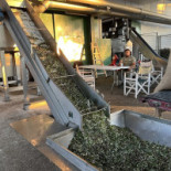 Malga Stenfle Extérieur