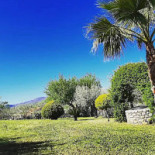 Pinseria Wind's Eden Exterior