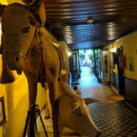 Il Barcollo À l'intérieur