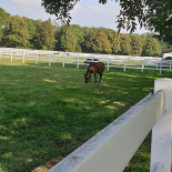 Agriturismo Riva Alta outside