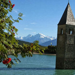 Greif Exterior