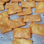 Lion food