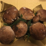 Il Pettirosso Nourriture