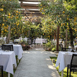 Zagara Extérieur