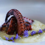 Calamare Comida