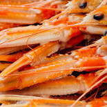 Guadagnoli Fish Express Nourriture
