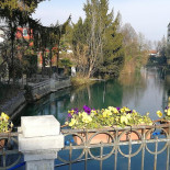 Guarda