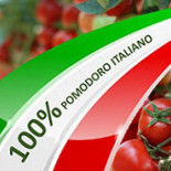 Pizzeria Pibi logo