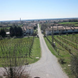 Agriturismo Casa Albaria outside