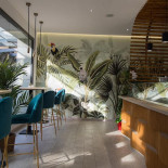 Poke Club Montebelluna inside