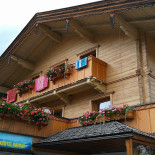Le Mimose Extérieur