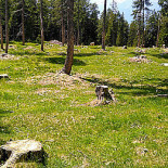 Malga Moschwald Extérieur