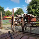 Peddy Burgers Extérieur